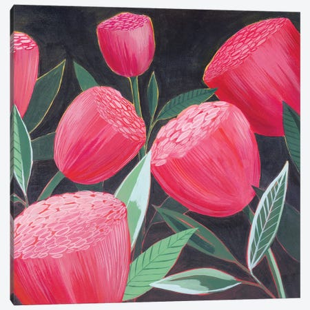 Blush Blossoms II Canvas Print #POP2147} by Grace Popp Art Print