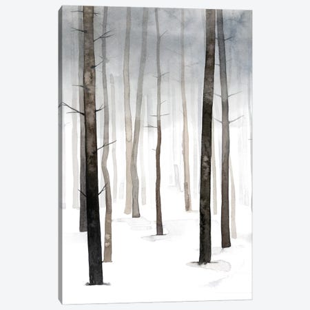 Hazy Winter Walk I Canvas Print #POP2156} by Grace Popp Canvas Art
