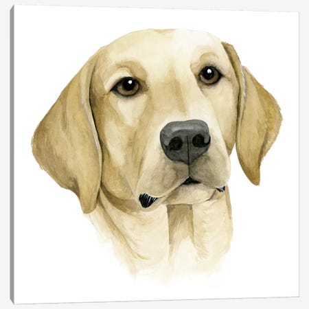 Human's Best Friend I Canvas Print #POP219} by Grace Popp Canvas Print