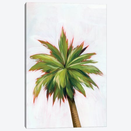Palm Glow I Canvas Print #POP2204} by Grace Popp Canvas Artwork