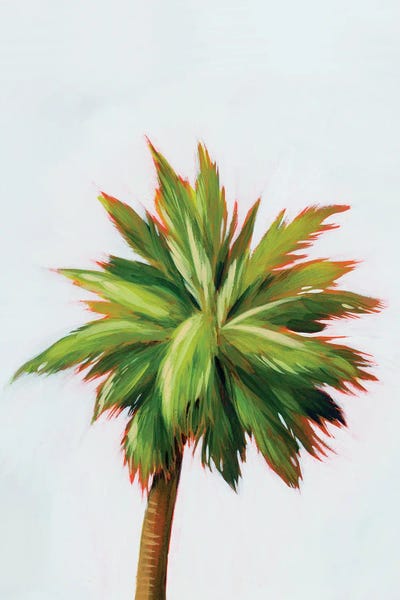 Palm Glow II by Grace Popp art print