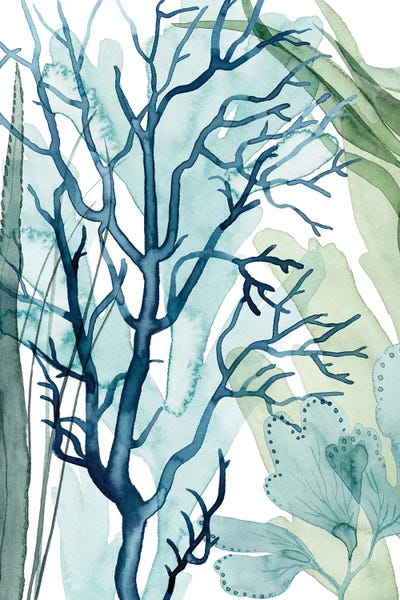 Sea Life: Sea Leaves I by Grace Popp