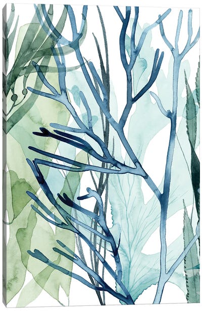 Sea Leaves II Canvas Art Print - Botanical Still Life
