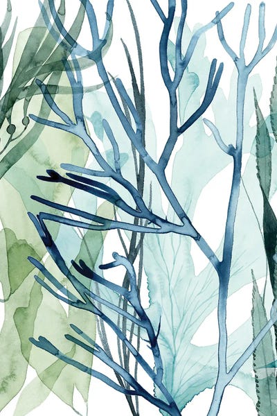 Coral: Sea Leaves II by Grace Popp