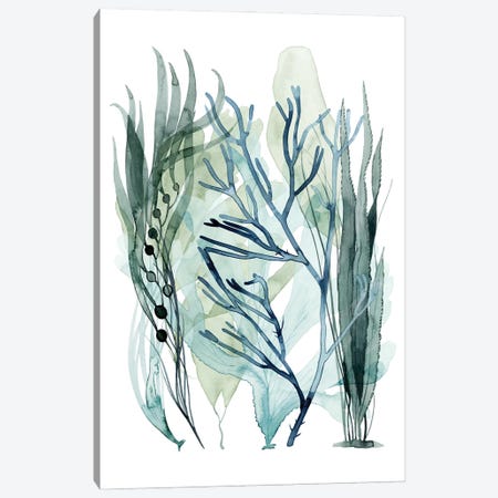 Sea Leaves III Canvas Print #POP2208} by Grace Popp Canvas Print