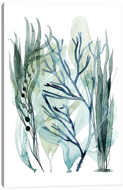 Sea Leaves III Canvas Art Print - Grace Popp