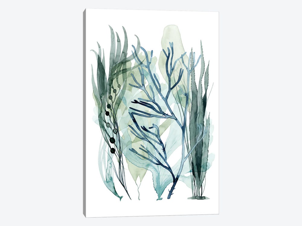 Sea Leaves III by Grace Popp 1-piece Canvas Art
