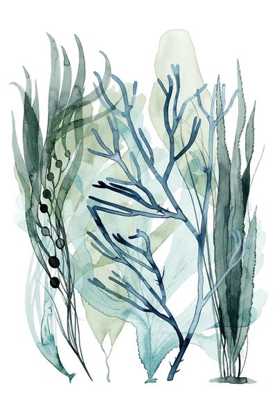 Coral: Sea Leaves III by Grace Popp