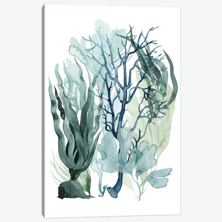 Sea Leaves IV Canvas Print #POP2209} by Grace Popp Art Print