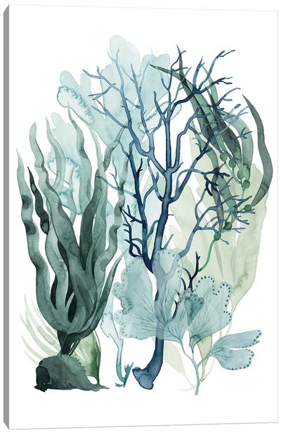 Sea Leaves IV Canvas Art Print - Minimalist Bathroom Art