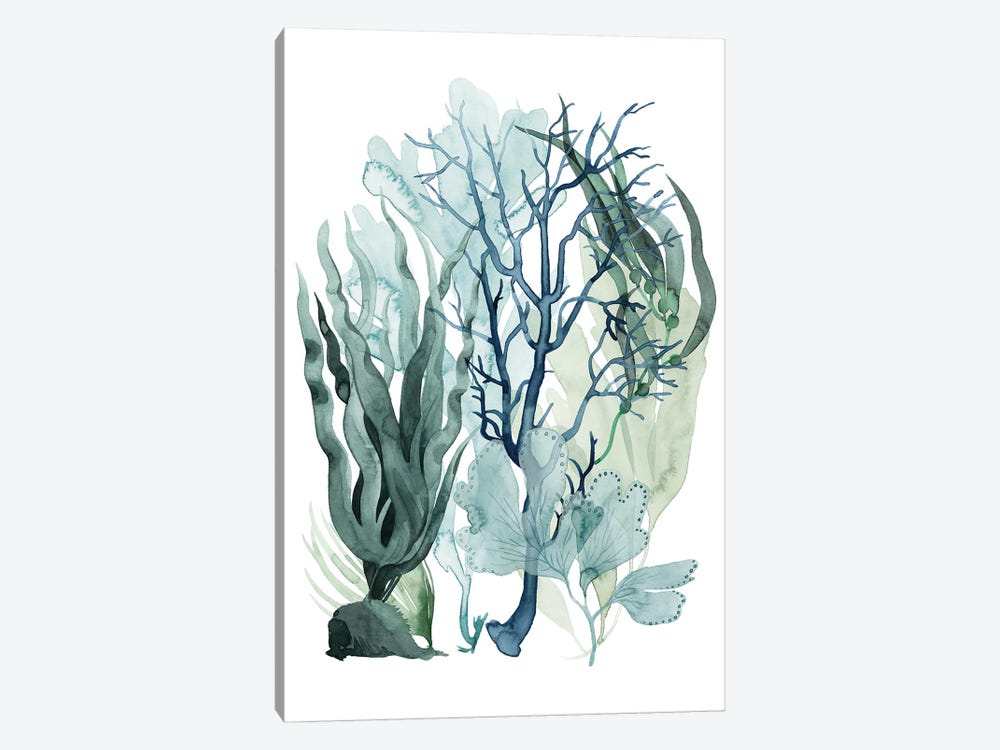 Sea Leaves IV by Grace Popp 1-piece Canvas Art Print