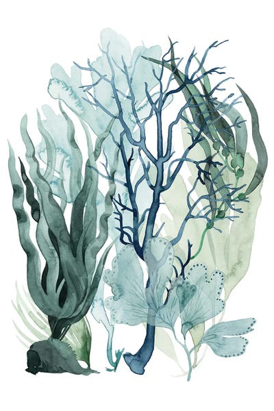 Coral: Sea Leaves IV by Grace Popp