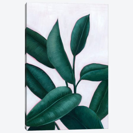 Verdant Ficus II Canvas Print #POP2221} by Grace Popp Canvas Art Print