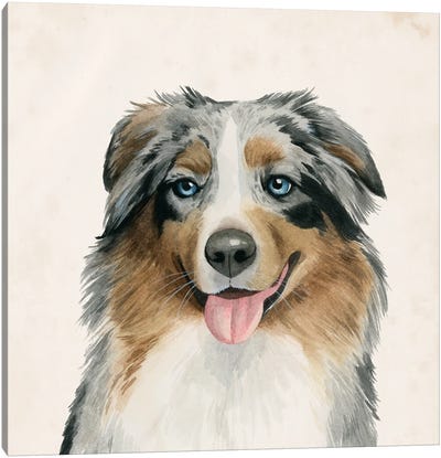 Best Bud III Canvas Art Print - Australian Cattle Dog Art