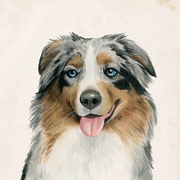 Australian Cattle Dogs: Best Bud III by Grace Popp