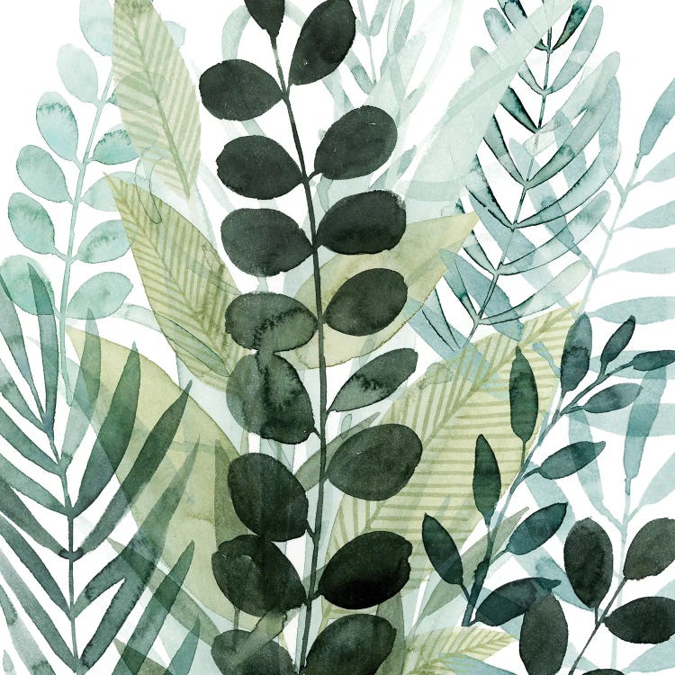 Forest Forage III by Grace Popp wall art