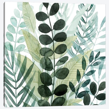 Forest Forage III Canvas Print #POP2236} by Grace Popp Canvas Art Print