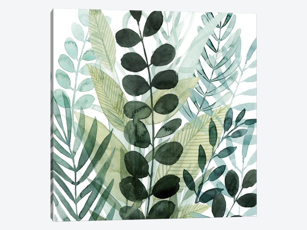 Forest Forage III by Grace Popp 1-piece Canvas Print