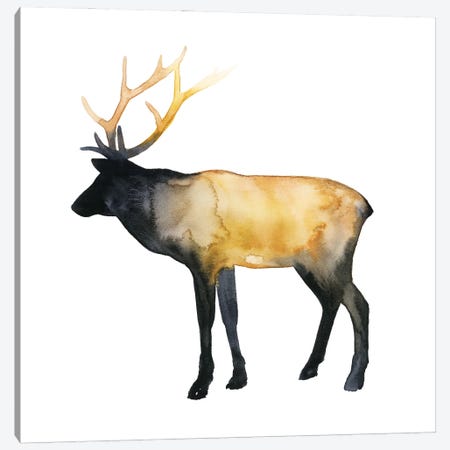 Elk Aglow I Canvas Print #POP2257} by Grace Popp Canvas Print