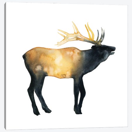 Elk Aglow II Canvas Print #POP2258} by Grace Popp Canvas Art