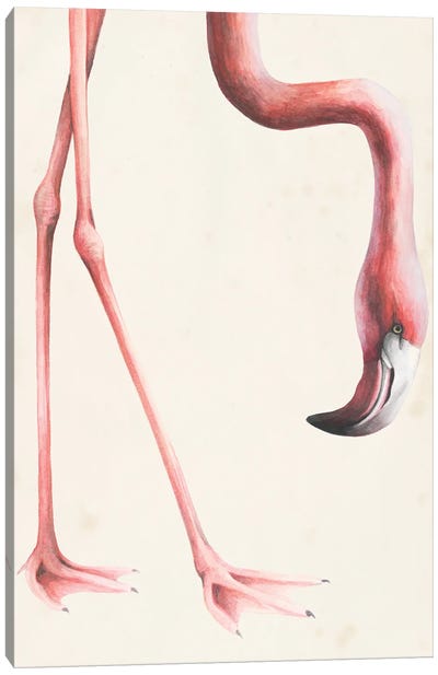 At Your Feet I Canvas Art Print - Flamingo Art