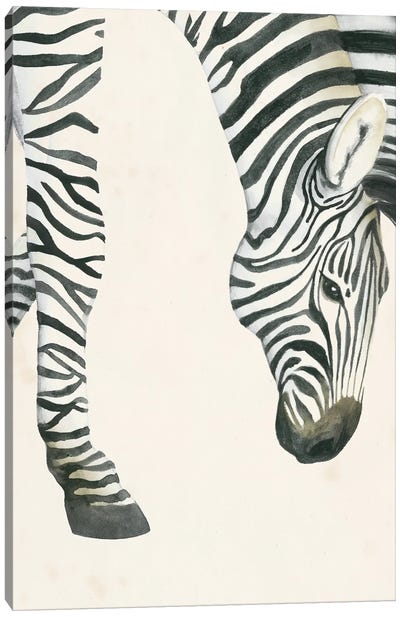 At Your Feet III Canvas Art Print - Zebra Art