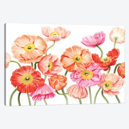 Bright Poppies III Canvas Print #POP2274} by Grace Popp Canvas Art Print