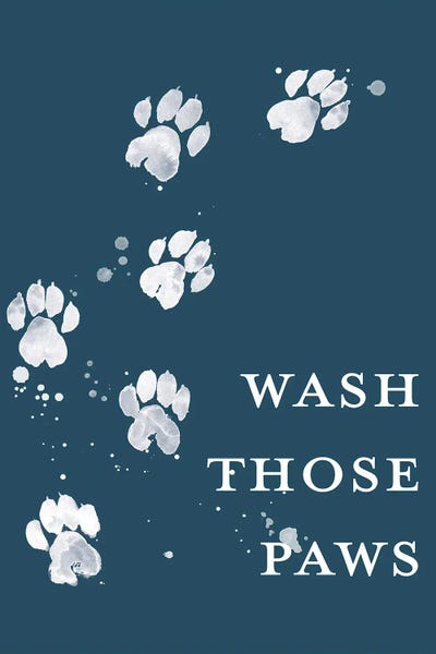 Wash Your Paws I by Grace Popp framed canvas print