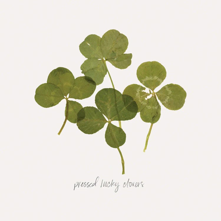 Pressed Clover I