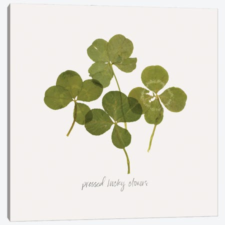 Pressed Clover I Canvas Print #POP2395} by Grace Popp Canvas Wall Art