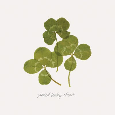 Pressed Clover II by Grace Popp art print