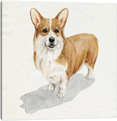 Pup for the Queen II Canvas Art Print - Corgis