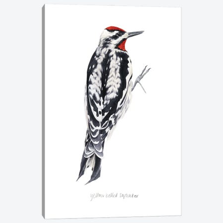 Watercolor Woodpecker I Canvas Print #POP2432} by Grace Popp Canvas Art