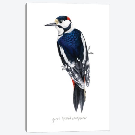 Watercolor Woodpecker II Canvas Print #POP2433} by Grace Popp Canvas Art