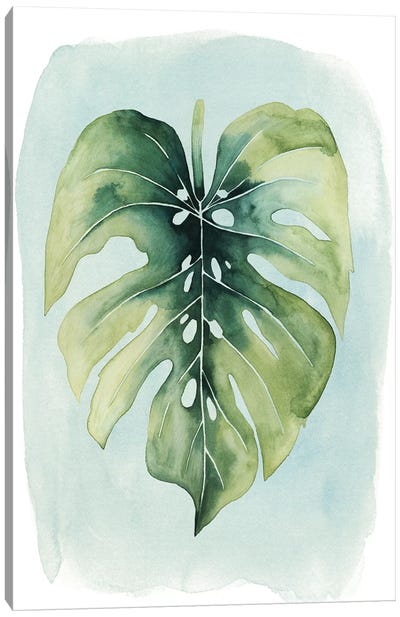 Paradise Palm Leaves I Canvas Art Print - Monstera Art