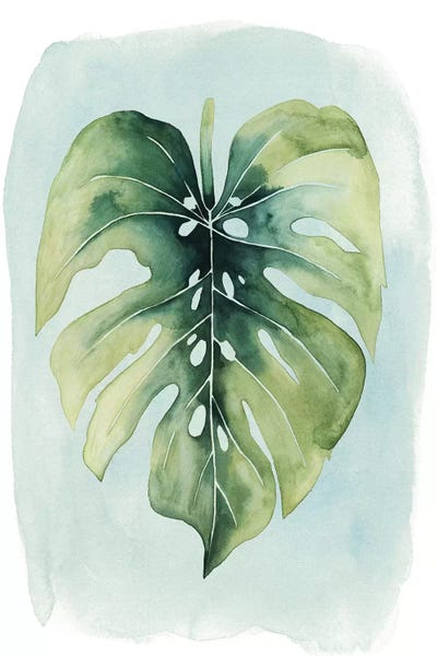 Monsteras: Paradise Palm Leaves I by Grace Popp