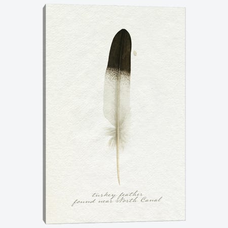 Found Feather IV Canvas Print #POP2453} by Grace Popp Canvas Art
