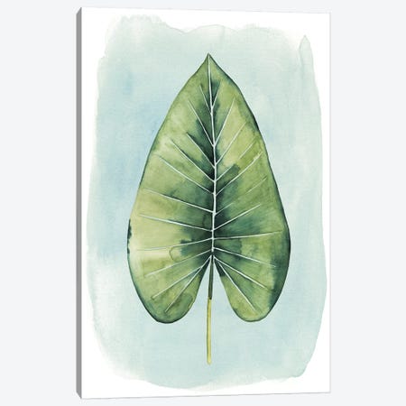 Paradise Palm Leaves III Canvas Print #POP245} by Grace Popp Canvas Print