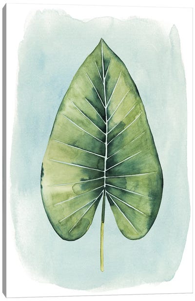 Paradise Palm Leaves III Canvas Art Print