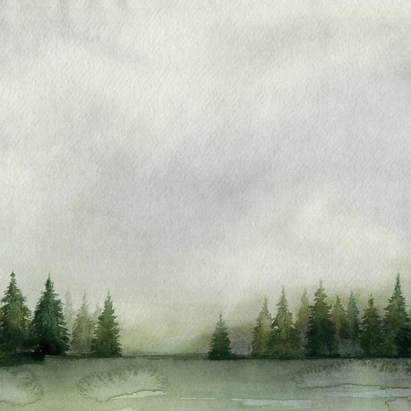 Pine Trees: Timberline II by Grace Popp