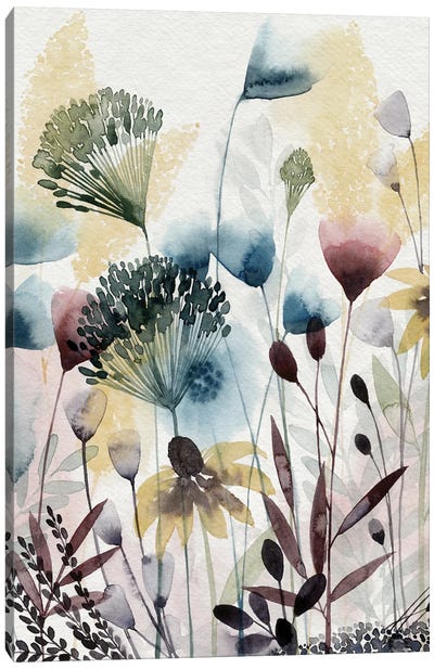 Watercolor Wildflower I Canvas Art Print - Grace Popp