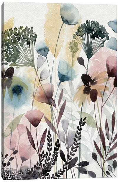 Watercolor Wildflower II Canvas Art Print - Wildflowers