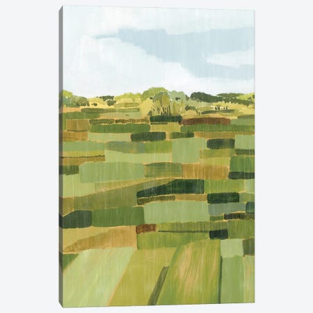 Woven Pasture II Canvas Print #POP2505} by Grace Popp Canvas Print