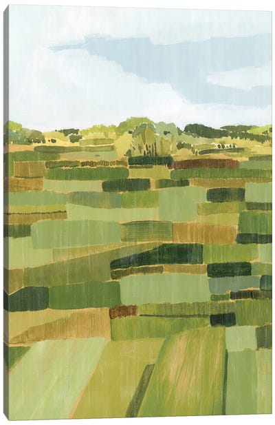 Woven Pasture II Canvas Art Print - Celery