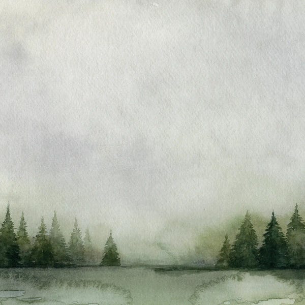 Pine Trees: Timberline I by Grace Popp