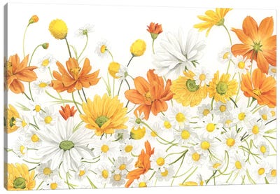 Sunny Wild Bouquet III Canvas Art Print
