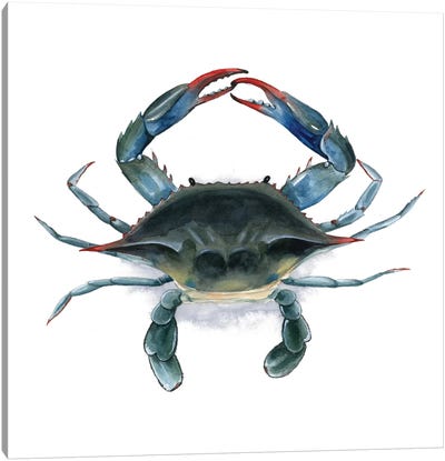 Back Bay Catch I Canvas Art Print - Crab Art