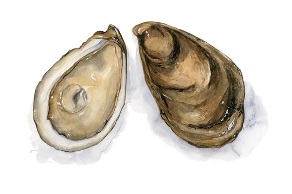 Oysters: Back Bay Catch II by Grace Popp