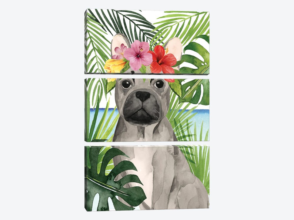 Coastal Canines I by Grace Popp 3-piece Canvas Print