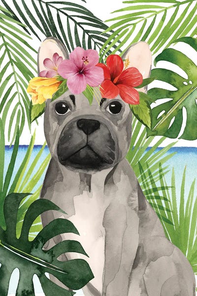 French Bulldogs: Coastal Canines I by Grace Popp